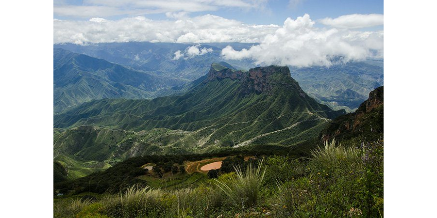 Propuesta enviada a SEMARNAT con motivo de la Consulta Social de para la elaboración del Programa Sectorial de Medio Ambiente y Recursos Naturales