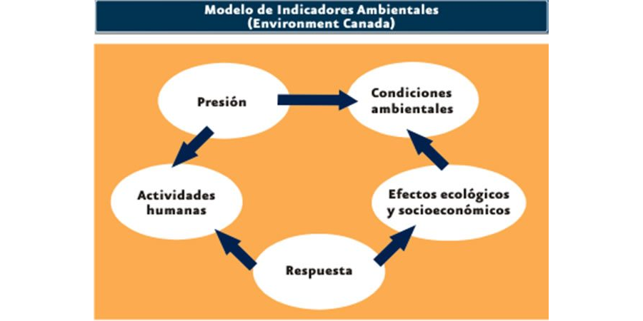 Líneas de investigación para sustentar ecosistemas circulares en México