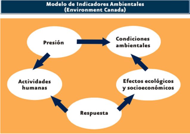 Líneas de investigación para sustentar ecosistemas circulares en México
