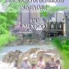Indicadores de Desarrollo Sustentable en México