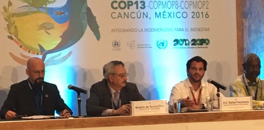 COP13: Aprueban por unanimidad la Declaración de Cancún para la conservación y uso sostenible de la biodiversidad