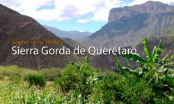 Inició el Proyecto Intermunicipal de Gestión Integral de los Residuos en la Sierra Gorda de Querétaro