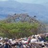 Prevención y aprovechamiento de residuos domésticos en la Sierra Gorda Querétaro