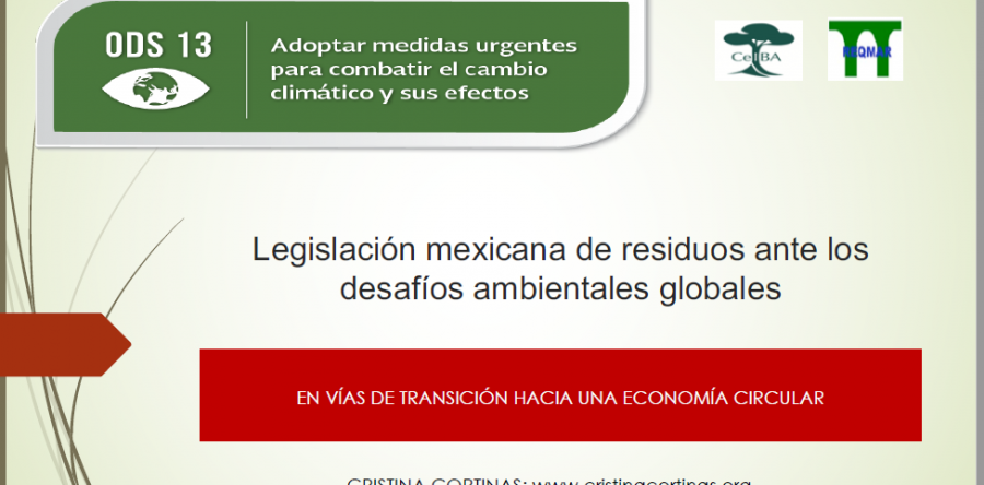 Lecciones de la regulación de los residuos plásticos en México