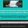 Desarrollo de Ecosistemas Regionales de Valor Circular en México