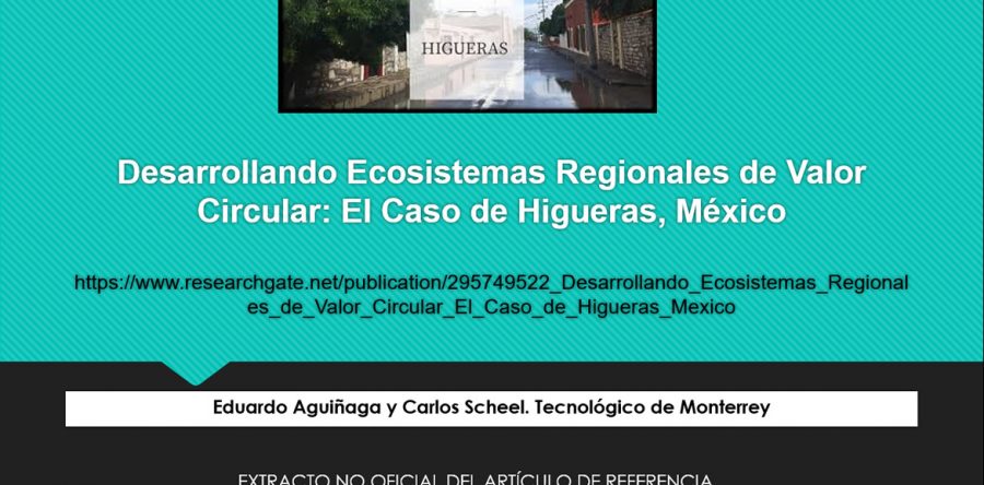 Desarrollo de Ecosistemas Regionales de Valor Circular en México