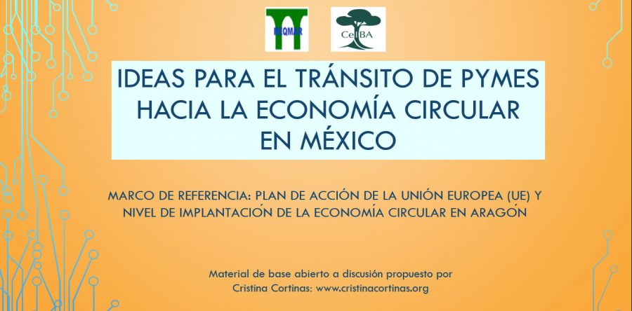 Ideas para el tránsito de PYMES hacia la economía circular en México