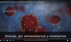Video: nos recuerda lo que debimos haber hecho hace mucho tiempo por proteger al planeta y protegernos; lo cual no es tarde.