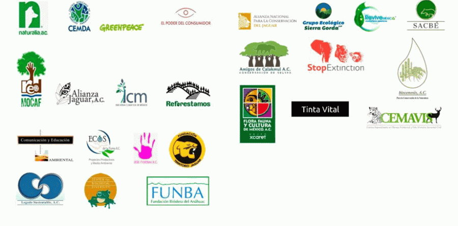 Invitación a pronunciarse sobre recortes en CONAFOR ante incendios