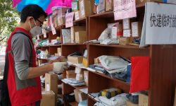 Urge plan de supervivencia para desempleados por corona virus