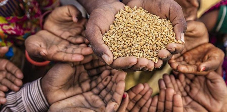 Canalización de ayudas a grupos más vulnerables con hambre. #NecesitamosEscucharnos