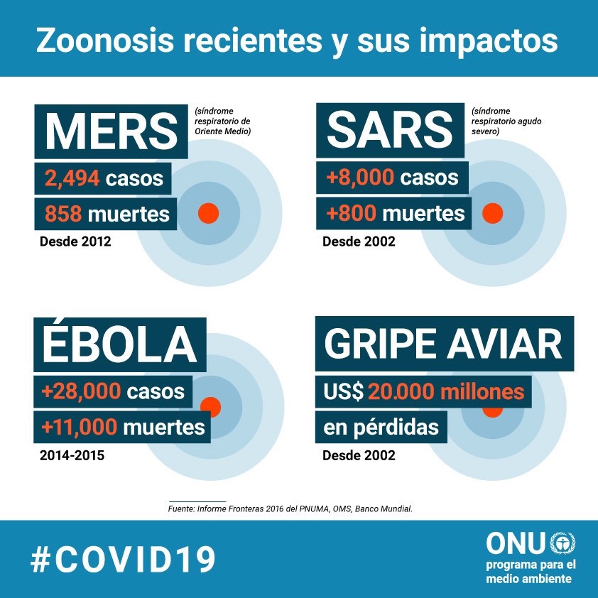 PLAN POSCOVID UNIVERSITARIO