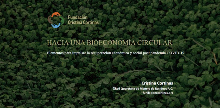 Elementos para impulsar la recuperación económica y social post pandemia COVID-19