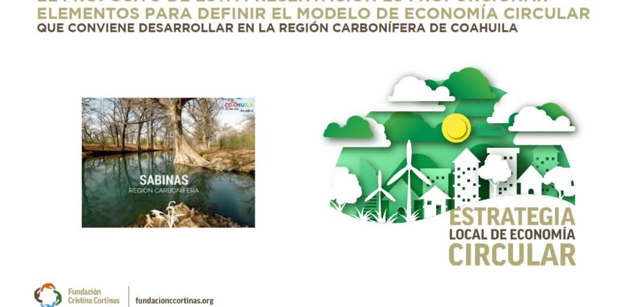 Para facilitar su adopción en la Región Carbonífera de Coahuila