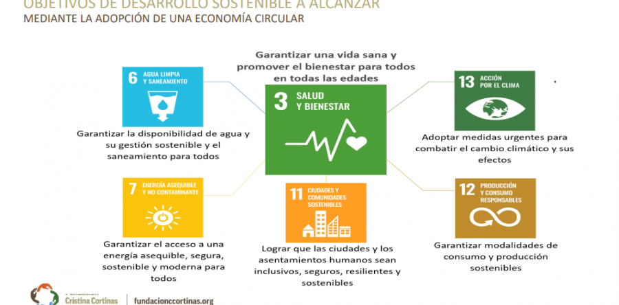 Curso: La Economía Circular. Los Retos para México