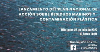Lanzamiento del Plan Nacional de acción sobre residuos marinos y contaminación plástica