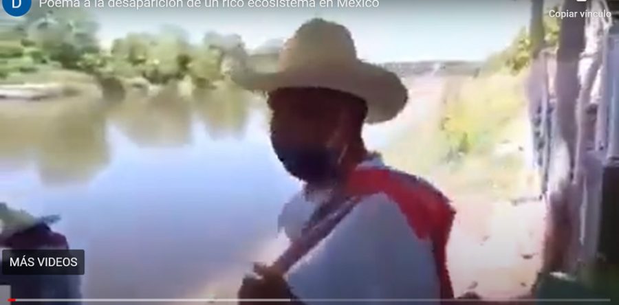 Poema a la desaparición de un rico ecosistema en México