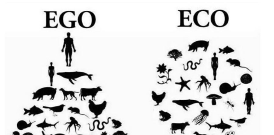 Generar y compartir conocimientos y el acceso equitativo a la educación