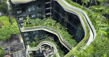 Singapur verde: bienvenidos a la ‘ciudad jardín’ de Asia