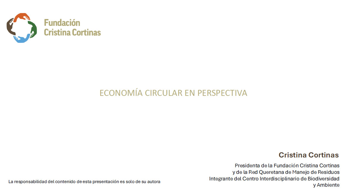 Economía circular en perspectiva