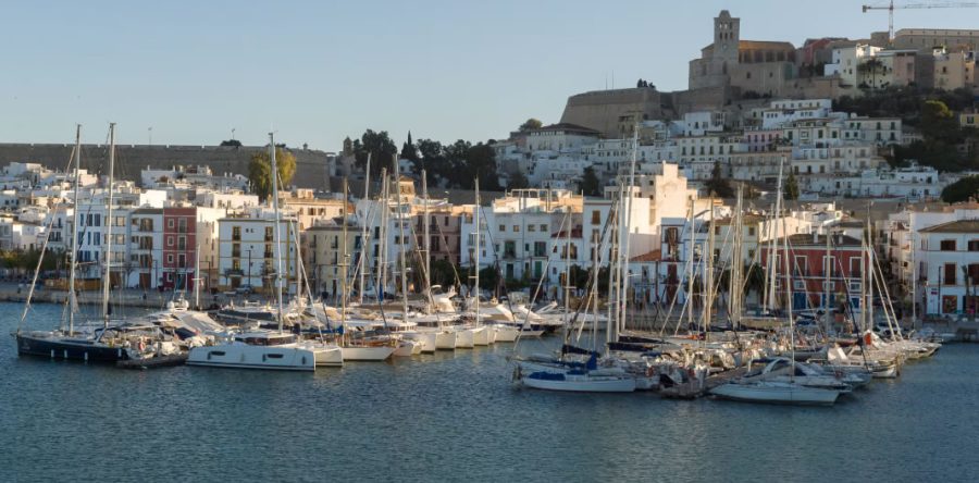 Información adicional sobre la obtención de electricidad a partir de plantas.