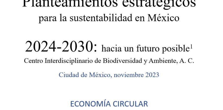 Planteamientos estratégicos sobre economía circular municipal CEIBA