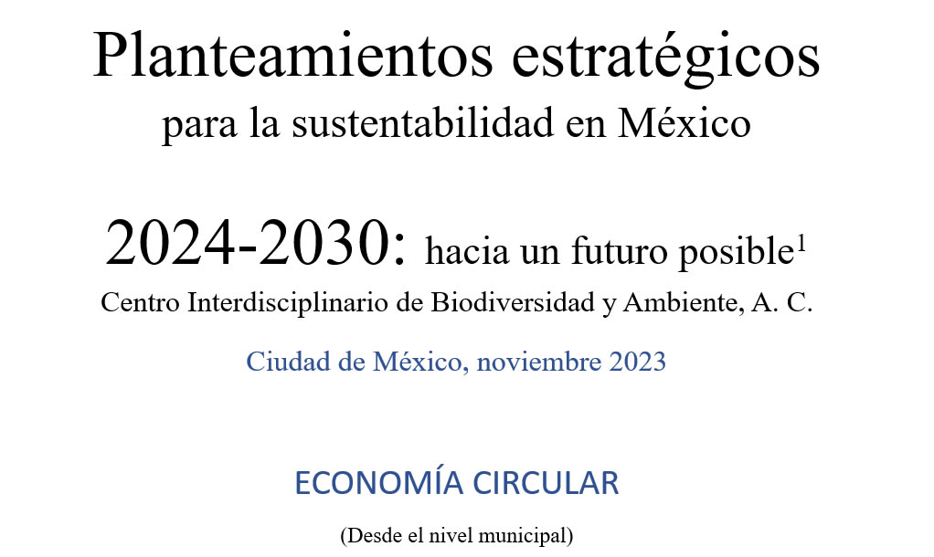 Planteamientos estratégicos sobre economía circular municipal CEIBA