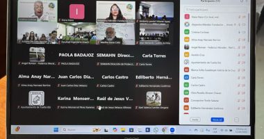 Seminario virtual histórico en Chiapas