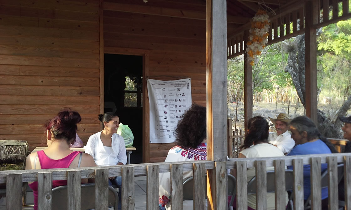 Proyecto-cosecha-colectiva-en-la-sierra