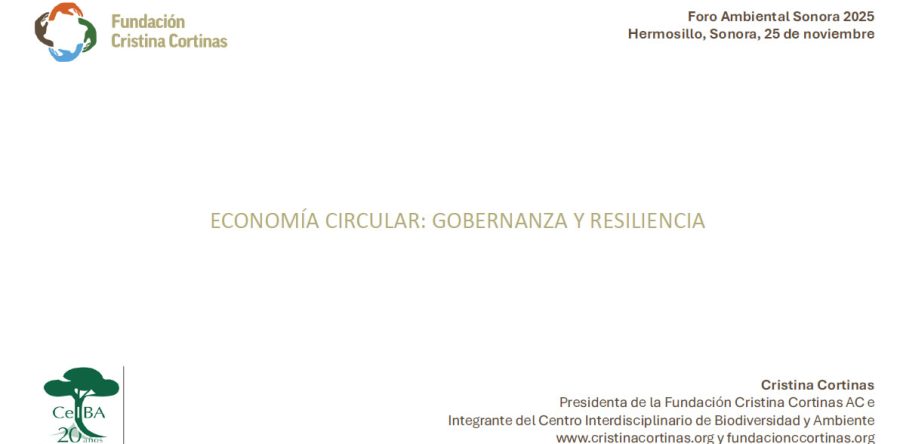 Economía circular Gobernanza y resiliencia