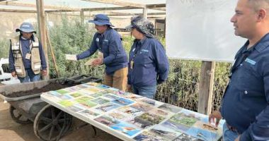 El Chaussé pasó de ser zona seca y degradada a laboratorio vivo de restauración ambiental
