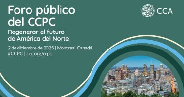 FORO PÚBLICO virtual de la CCA el 2 de diciembre