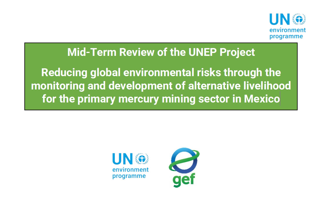 Mid-Term Review of the UNEP Project