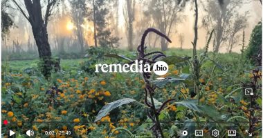 Baldío: el restaurante cero residuos de México