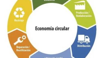 Economía circular sin “dueño”: el problema cultural de la empresa