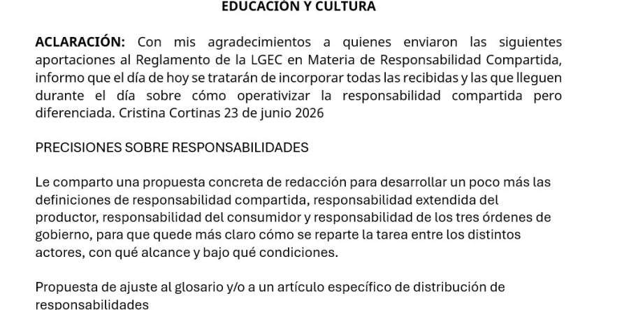 PRECISIONES SOBRE MODALIDADES DE RESPONSABILIDAD Y MEDIDAS DE EDUCACIÓN Y CULTURA