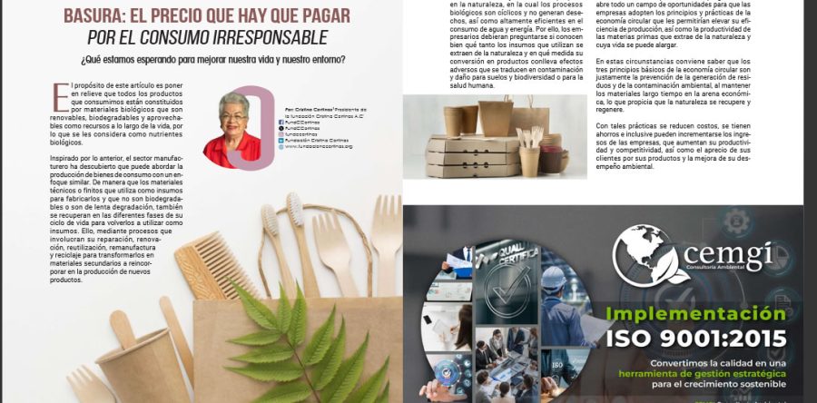 Artículo: La Basura. El precio que hay que pagar por el consumo irresponsable