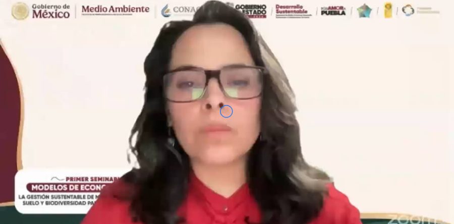 Lecciones del primer seminario virtual de economía circular de Puebla