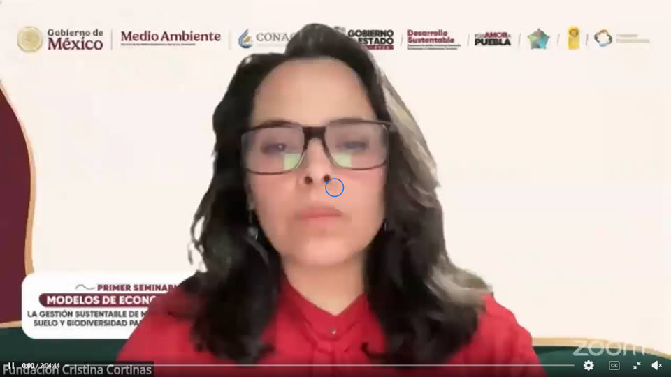 Lecciones del primer seminario virtual de economía circular de Puebla
